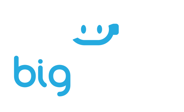 Big Logic logo 2-01